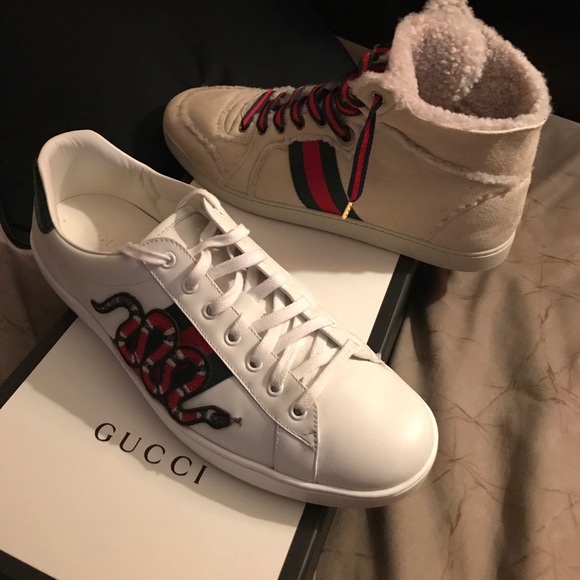 Meet your Posher, Ricky - Picture 8 of 8