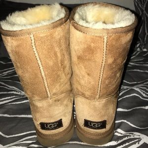 Authentic classic short chestnut uggs!