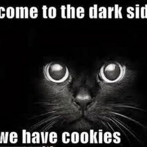 Meet your Posher, Deserie