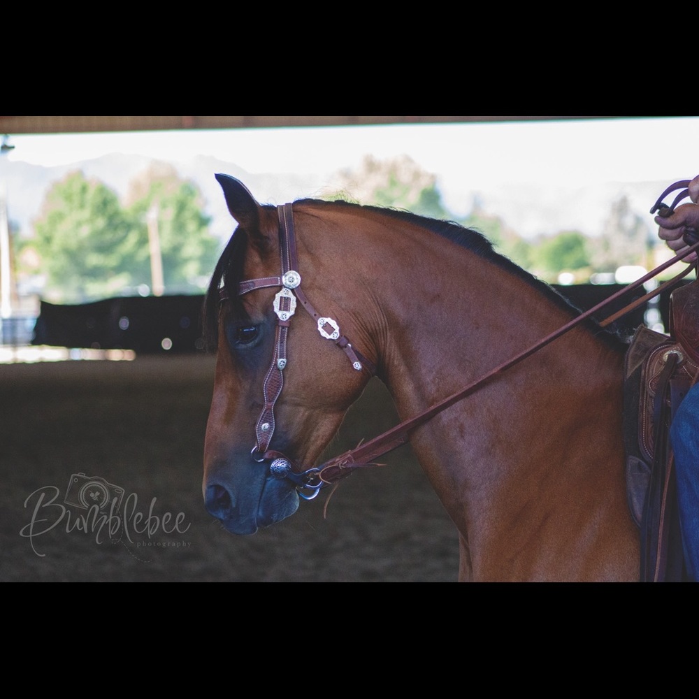 Meet your Posher, Larissa