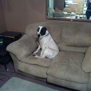 Meet your Posher, Jo