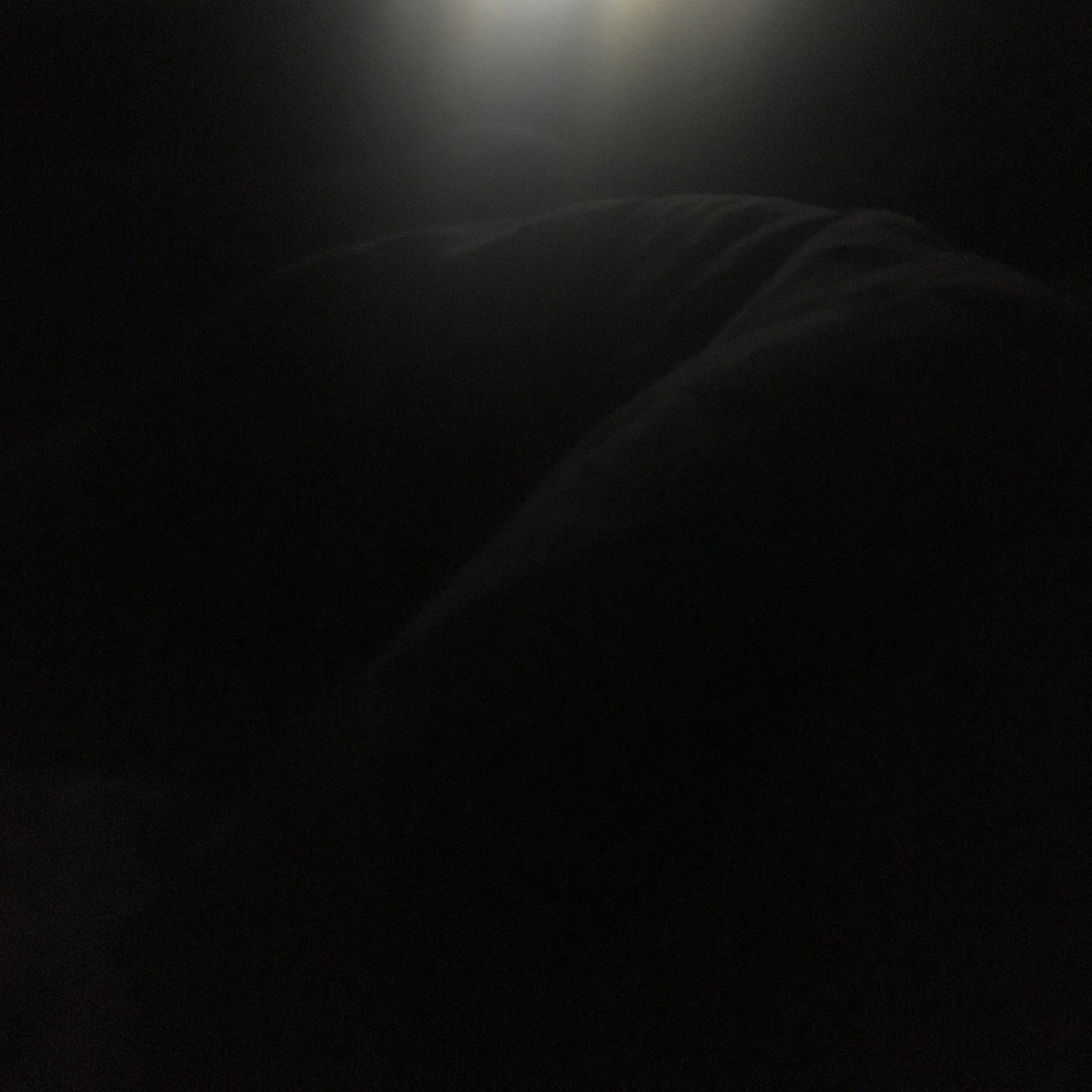 Meet your Posher, Terri