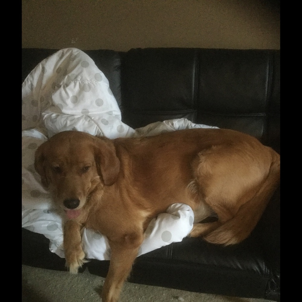 Meet your Posher, Vicki