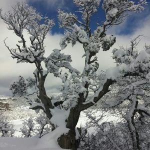 Meet your Posher, Kristy