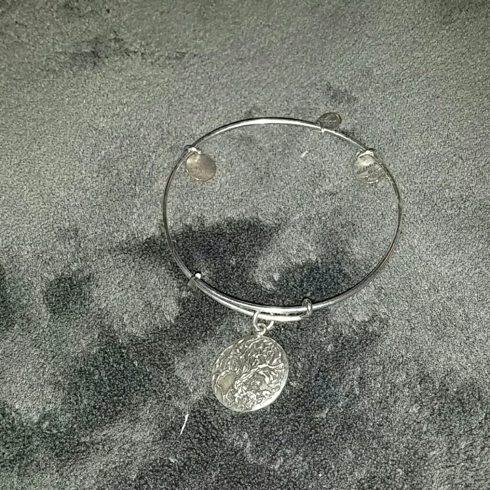 Alex and ani bracelet