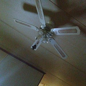 Meet your Posher, Jamar