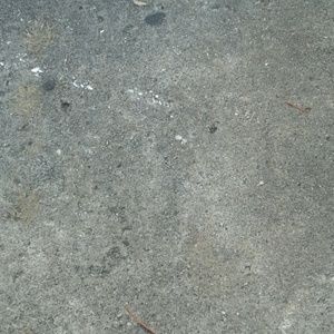 Meet your Posher, Errol