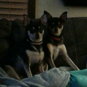 Meet your Posher, Cindy