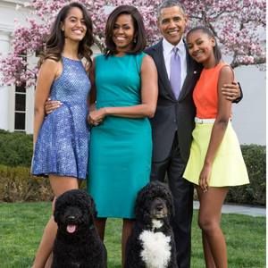 Meet your Posher, Derrick