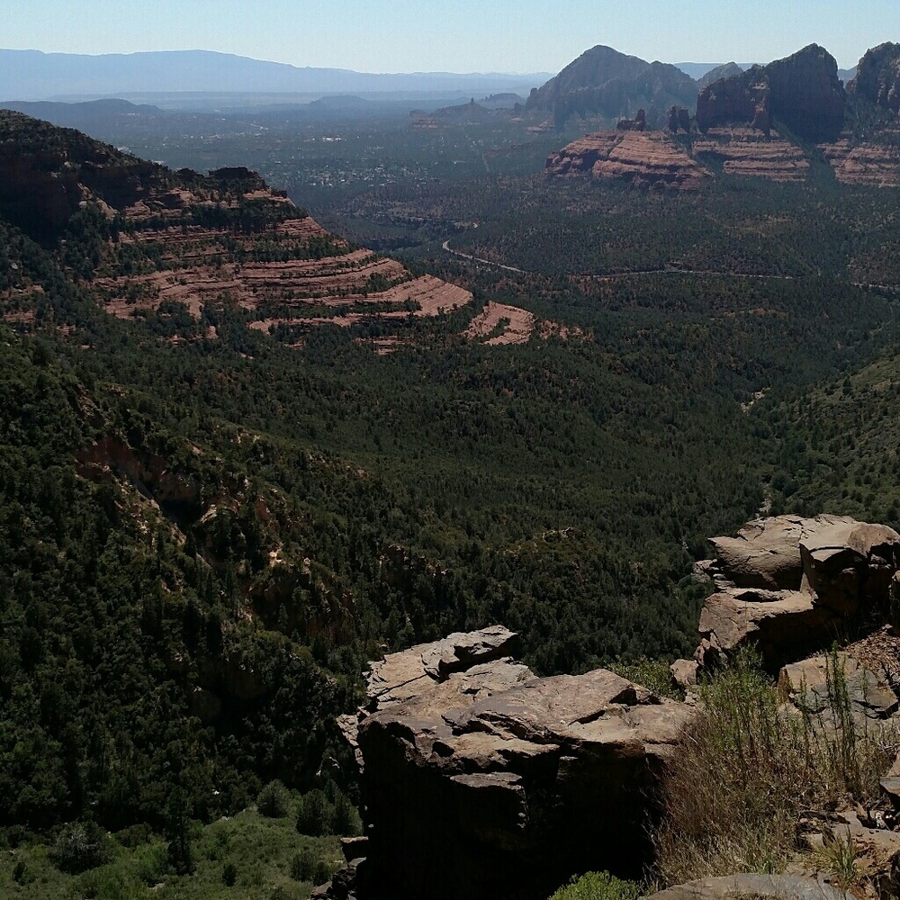 Meet your Posher, Liz