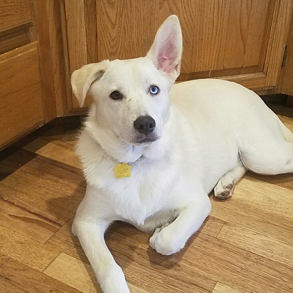 Meet your Posher, Paula