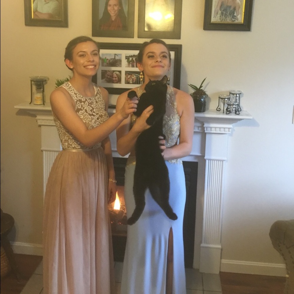 Both dresses are for sale - Picture 4 of 4