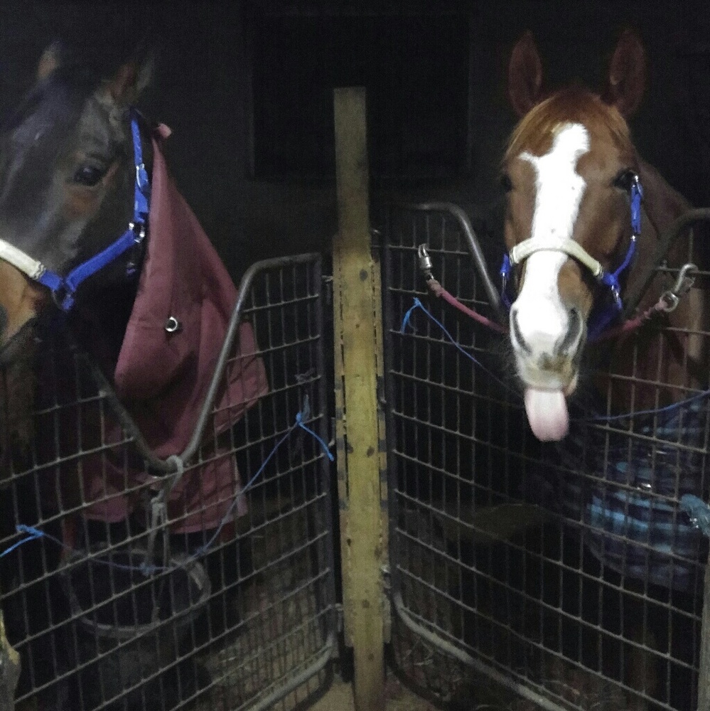 Meet your Posher, Melissa