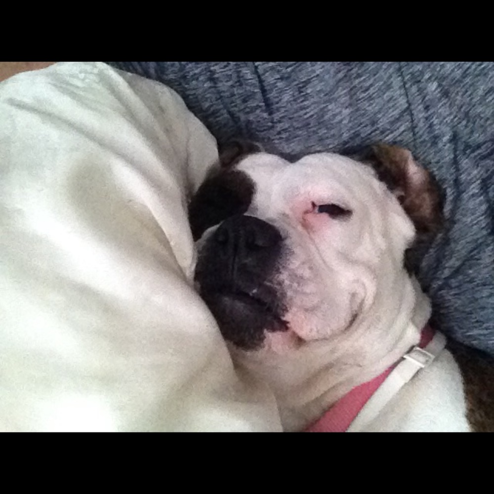 Meet your Posher, Bm