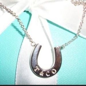 Auth. tiffany and co horseshoe necklace
