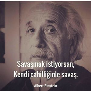 Meet your Posher, Emine