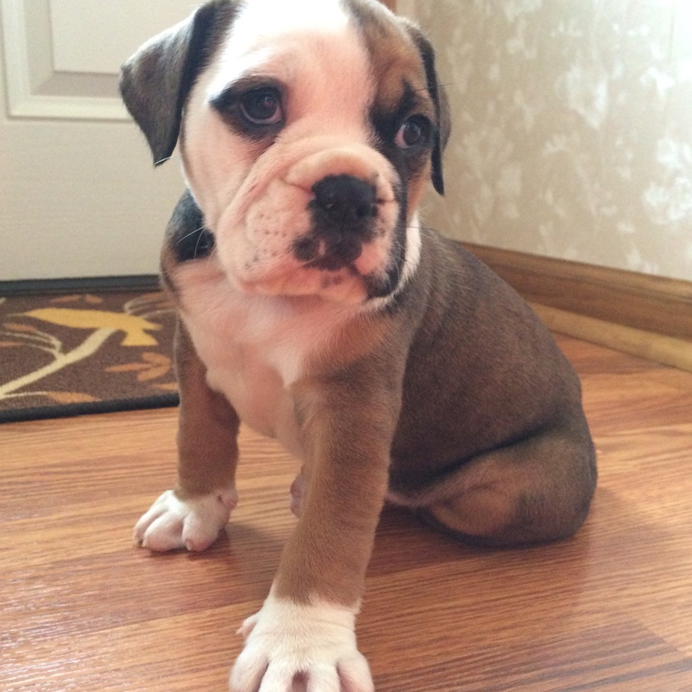 Meet your Posher, Caitlyn