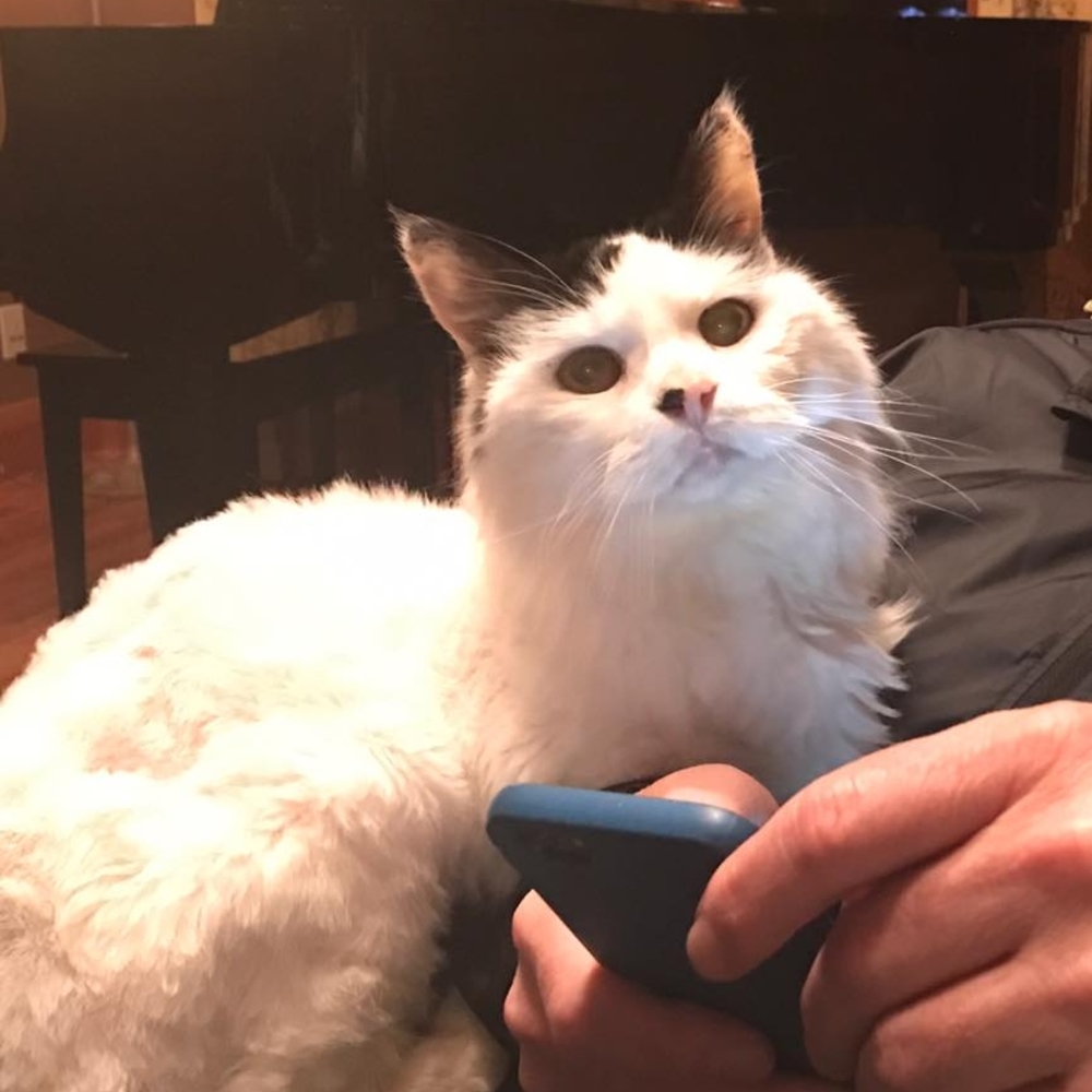 Meet your Posher, Gina