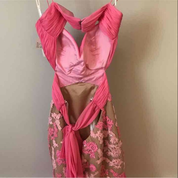 NEW Sherri Hill Nude & Pink Prom Dress - Picture 3 of 4