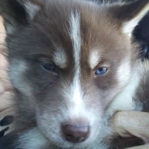 Meet your Posher, Colleen