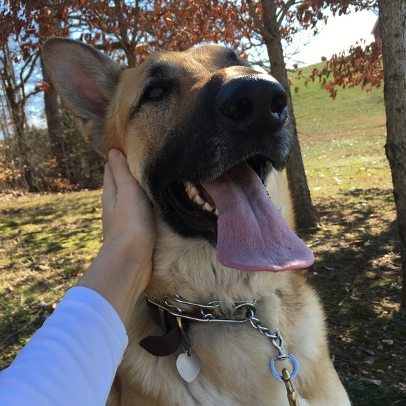 Meet your Posher, Whitney - Picture 1 of 1