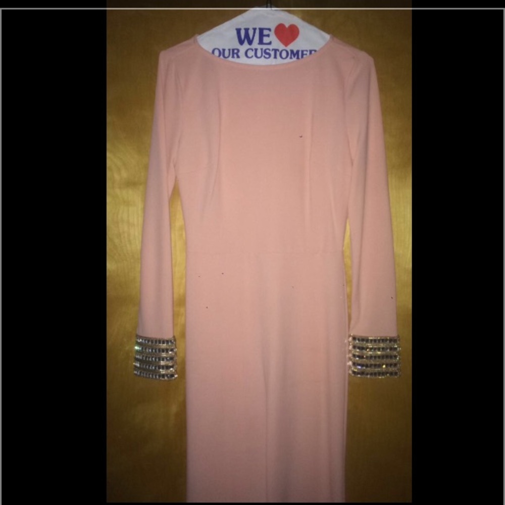 Light pink Body Fit Mermaid Gown- Sz Small