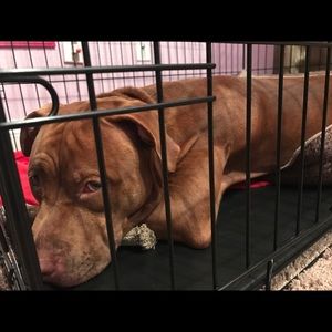 Meet your Posher, Will