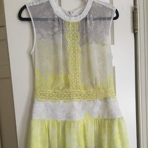 Lemon and Grey Shift Dress