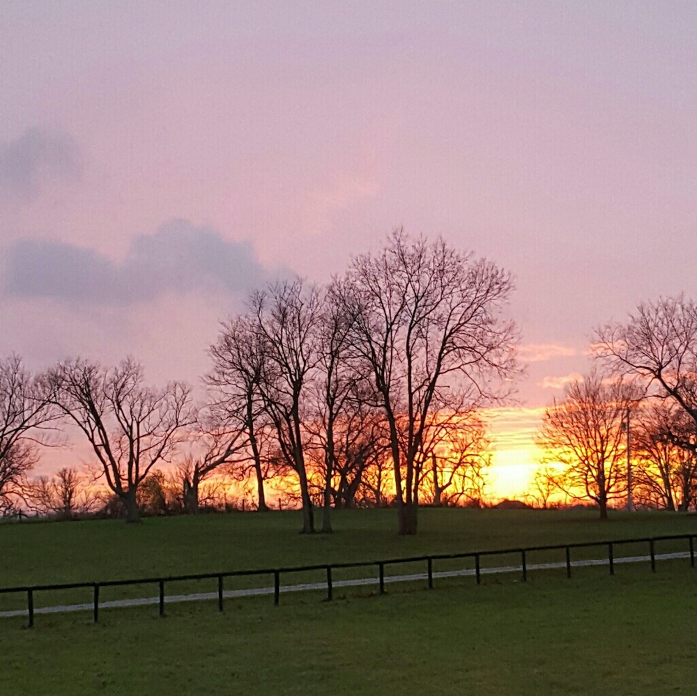 Meet your Posher, Christy