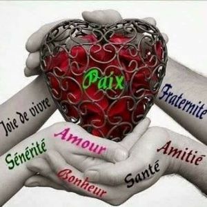 Meet your Posher, Cecile