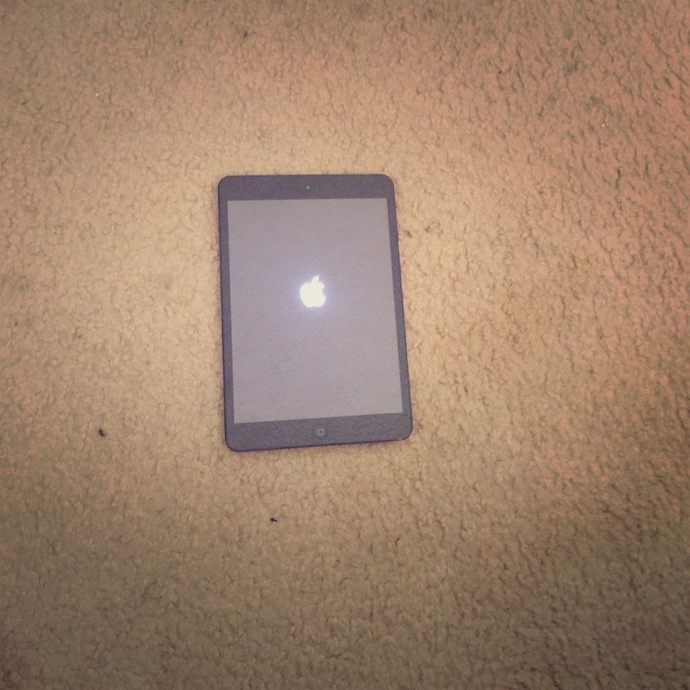 iPad and LV belt