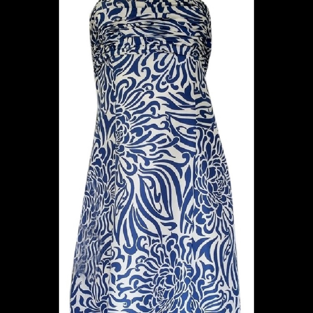 Ann Taylor silk dress