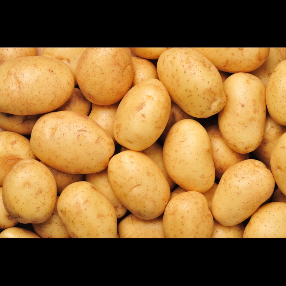 Meet your Posher, Mrs. Potato 🥔