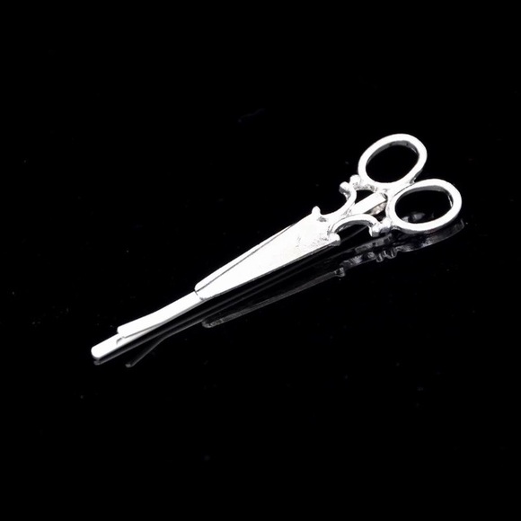 Set of 2 SILVER Hair Pins / LOWEST PRICE - Picture 4 of 6