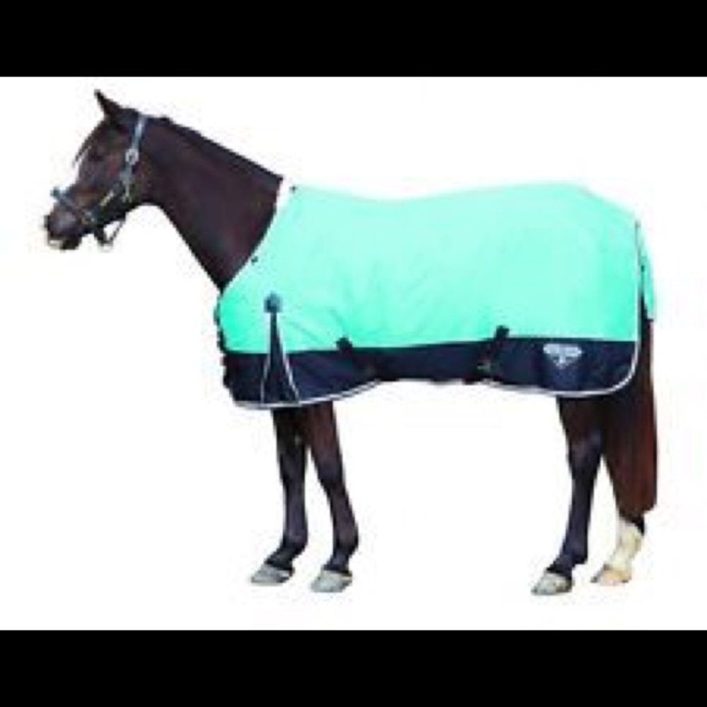 Union Bag Co. Sterling Tote 100% Cordura Nylon.