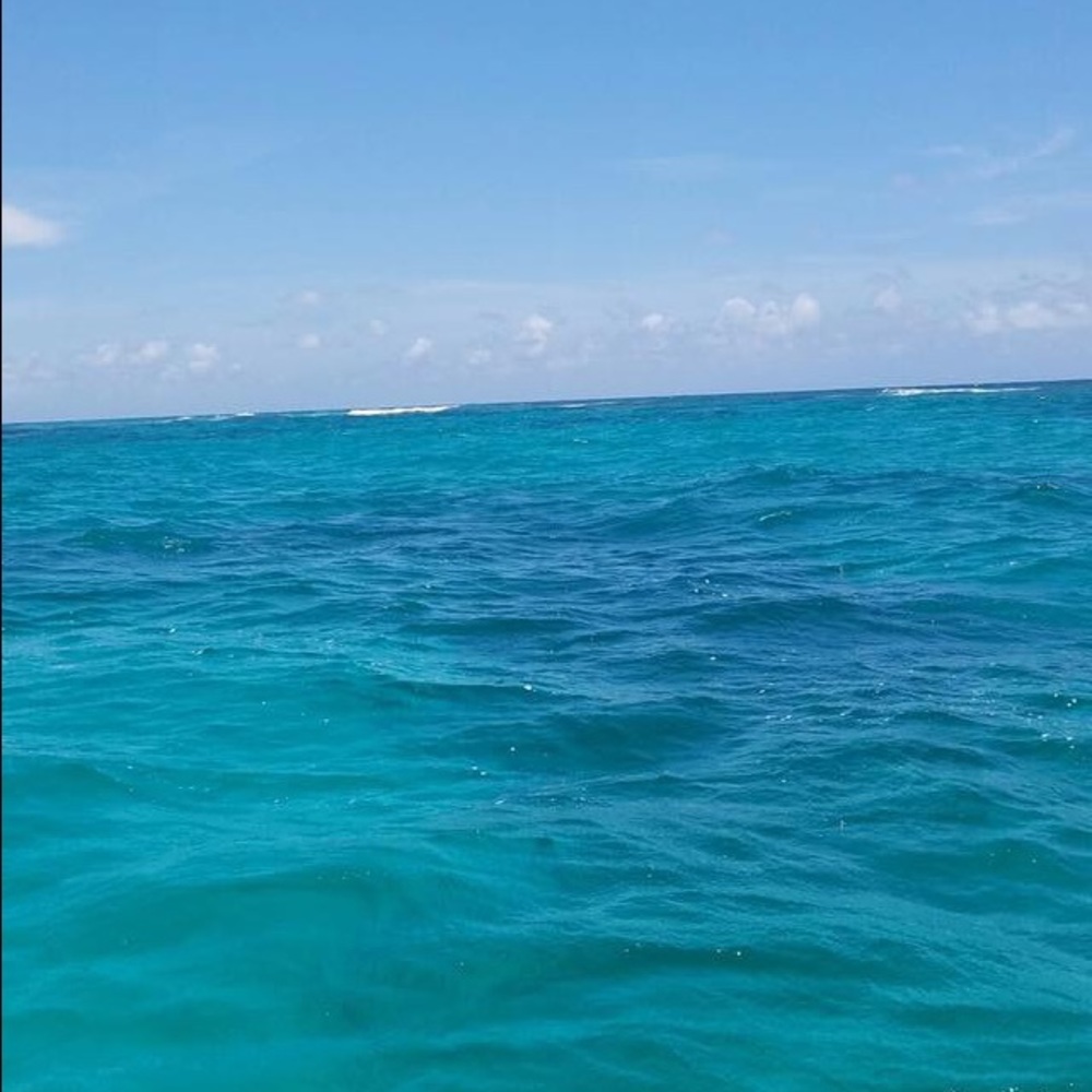 Meet your Posher, Cailin