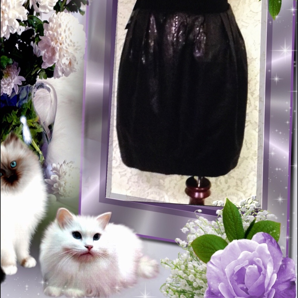 Aryn K  pleated pencil skirt. Closet Closing