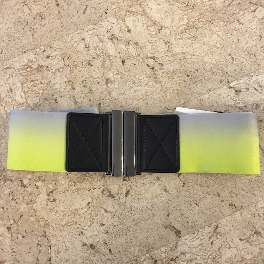 Ombré H&M Stretch Belt