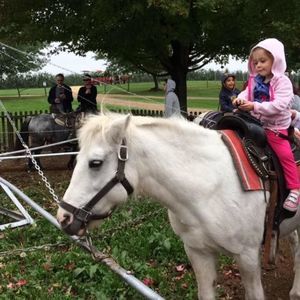 Meet your Posher, Josh