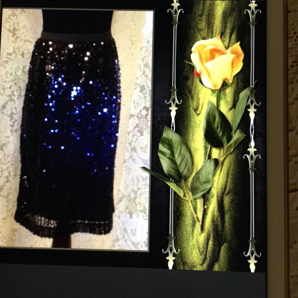 Joan Rivers skirt. Closet Closing