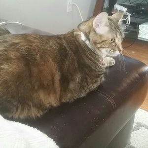 Meet your Posher, Mike