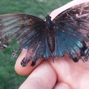 Meet your Posher, Jada