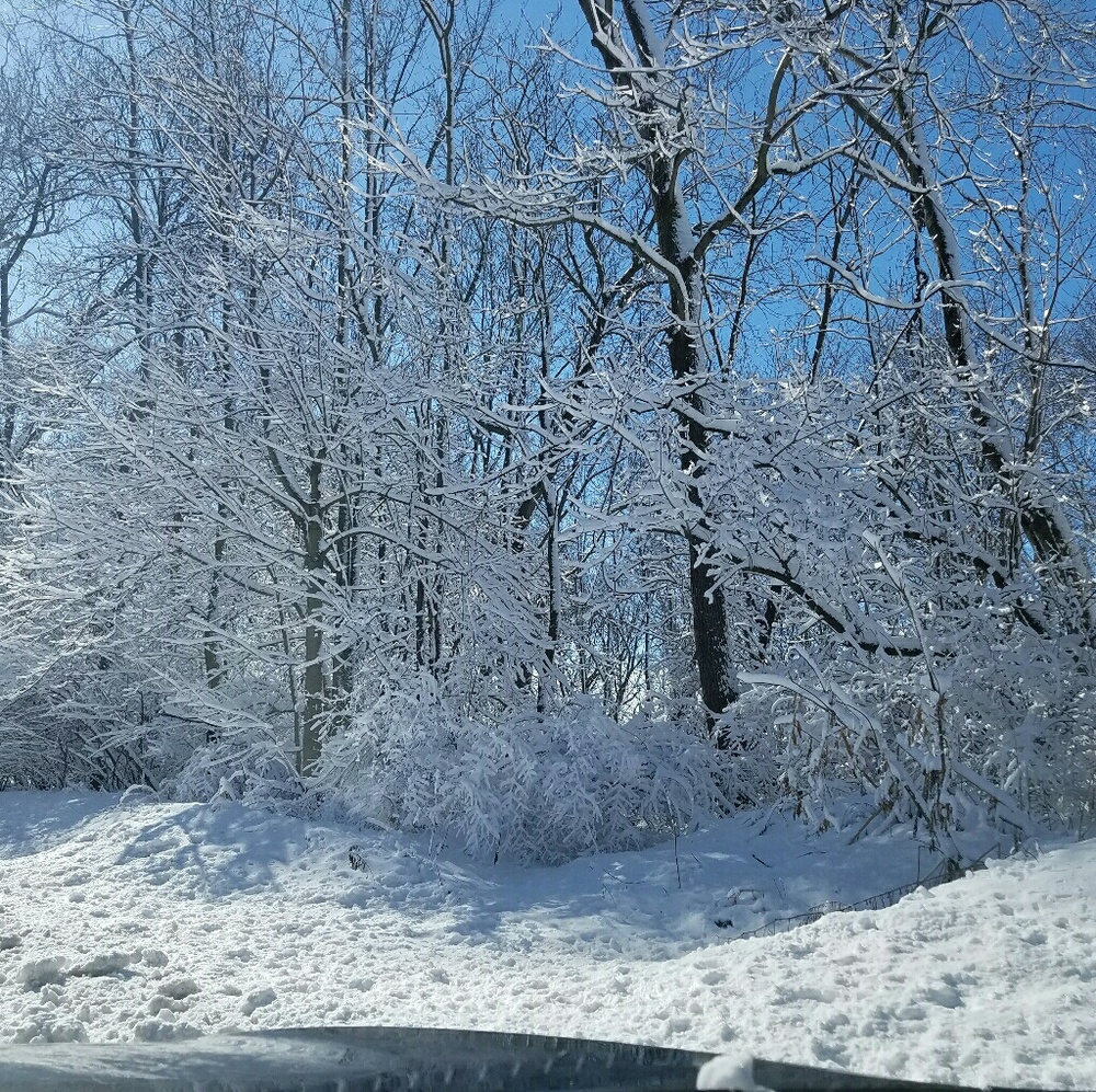 Meet your Posher, Kristie