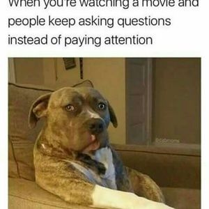 Meet your Posher, Jay