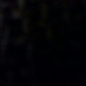 Meet your Posher, Lee