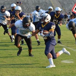 Meet your Posher, Hector