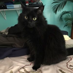 Meet your Posher, Kristina