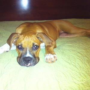 Meet your Posher, Paula