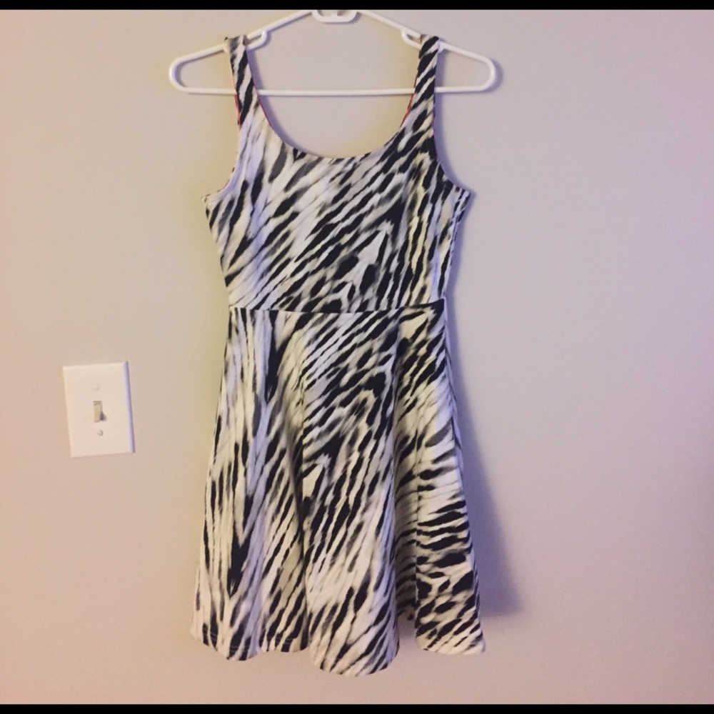 Express skater dress