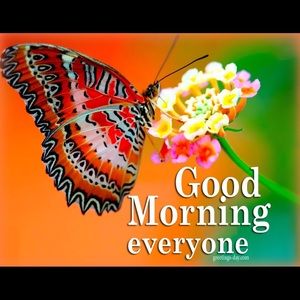 Meet your Posher, Celina